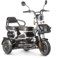 Электротрицикл Wanshida HOT HATCH 60V 650Вт